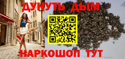 сатива Краснознаменск