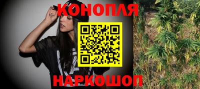 сатива Краснознаменск