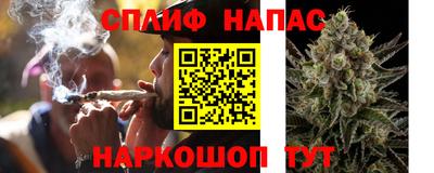 тгк Краснодар